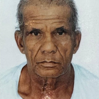 Foto João Felicíssimo Vieira