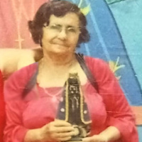 Foto Lourdes de Sousa Cunha