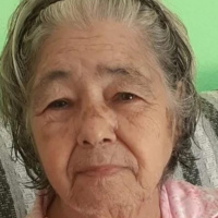 Foto Marisa Alves Parreira