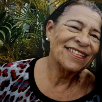 Foto Vera Lúcia Pereira Magalhaes