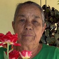 Foto Maria Terezinha Rosa
