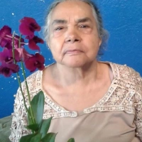 Foto Geralda Araujo Silva